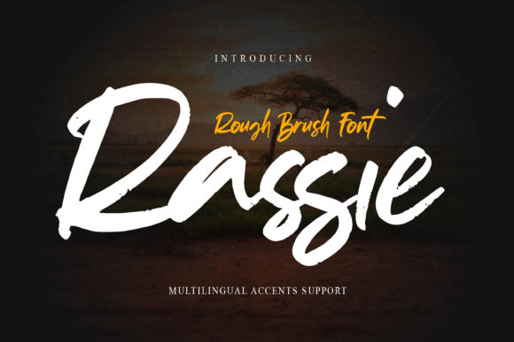 Rassie Font for Modern Web Design